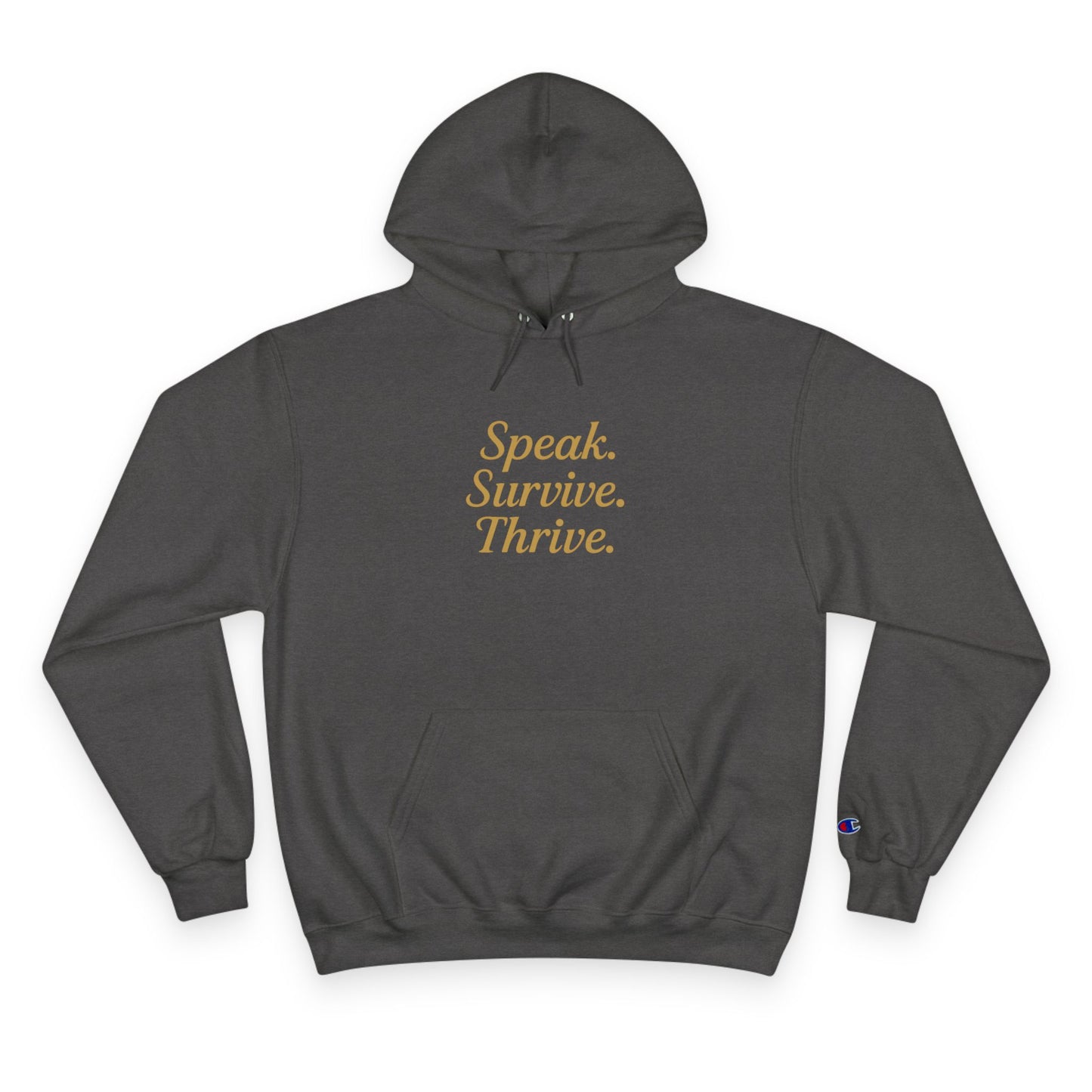 DV Survivor - KATT Design, LLC - Champion Hoodie