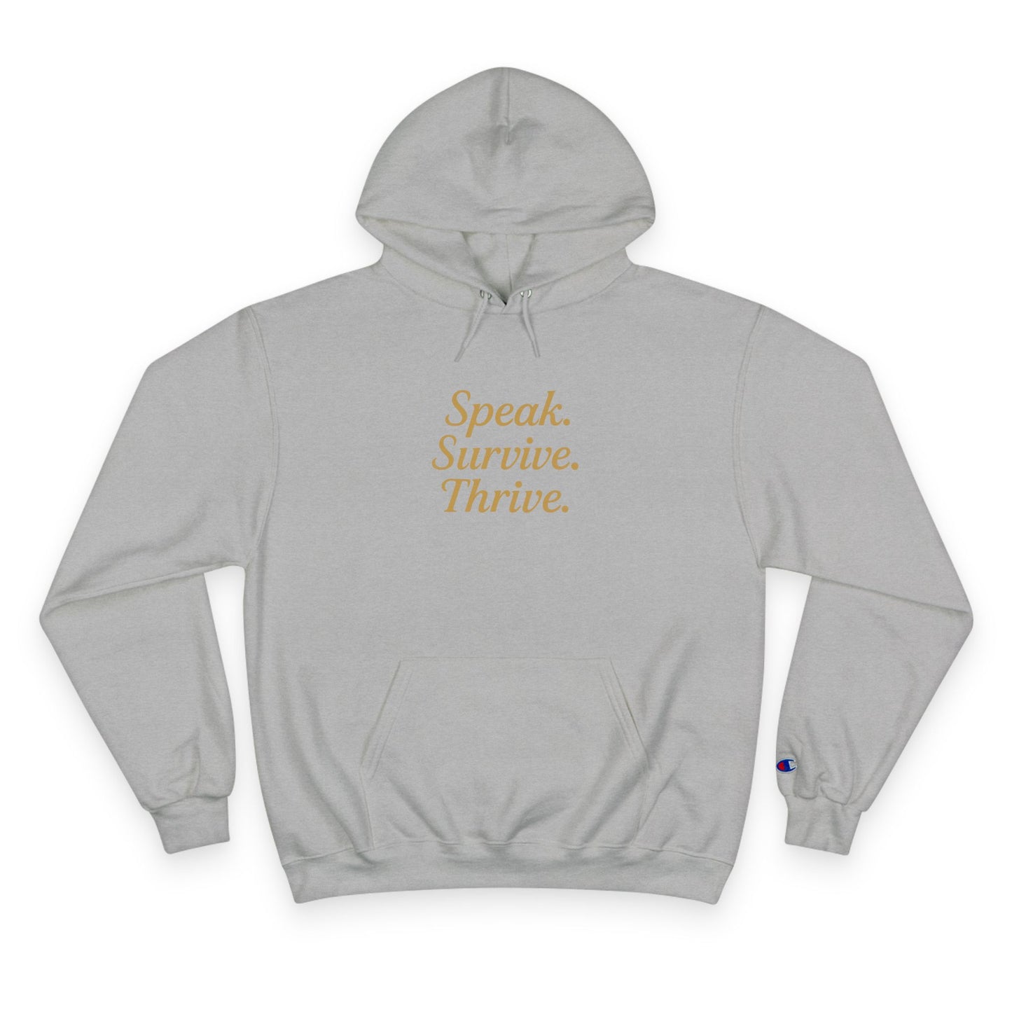 DV Survivor - KATT Design, LLC - Champion Hoodie
