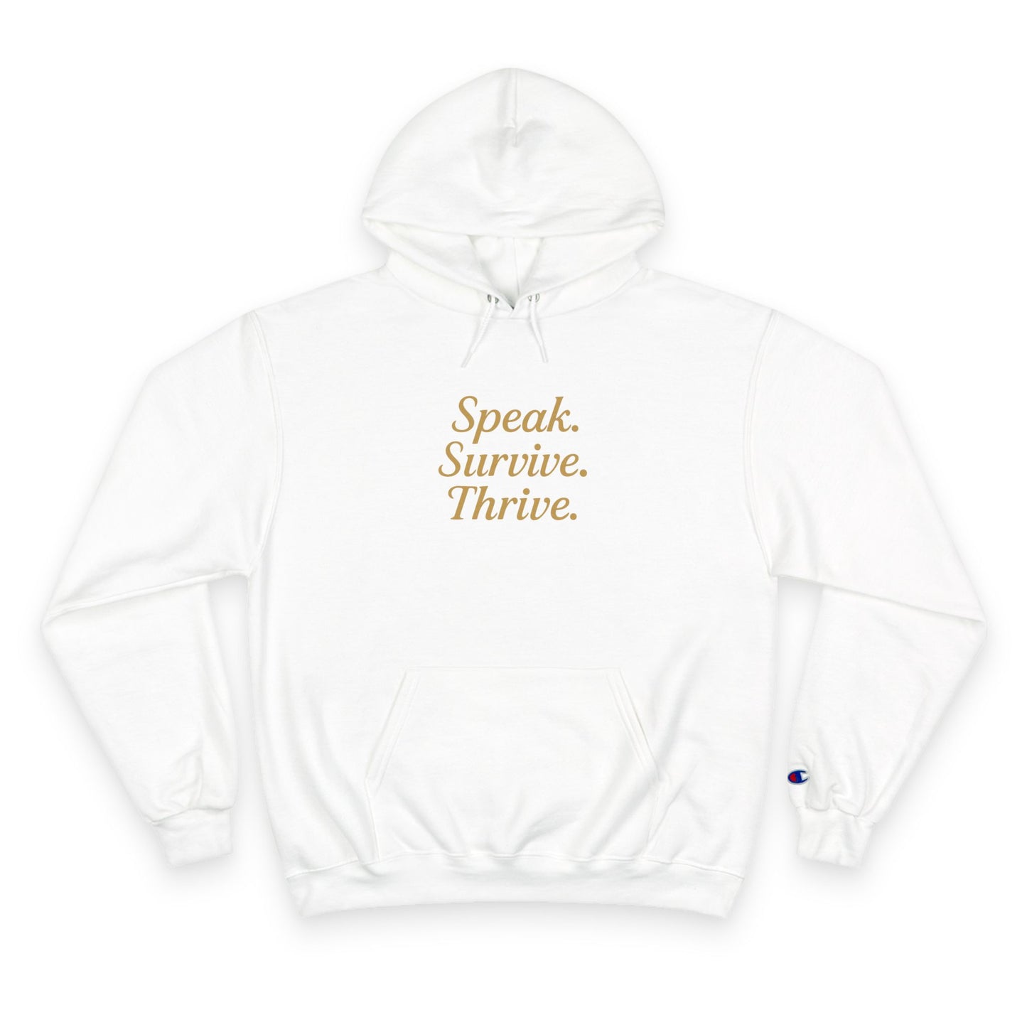 DV Survivor - KATT Design, LLC - Champion Hoodie