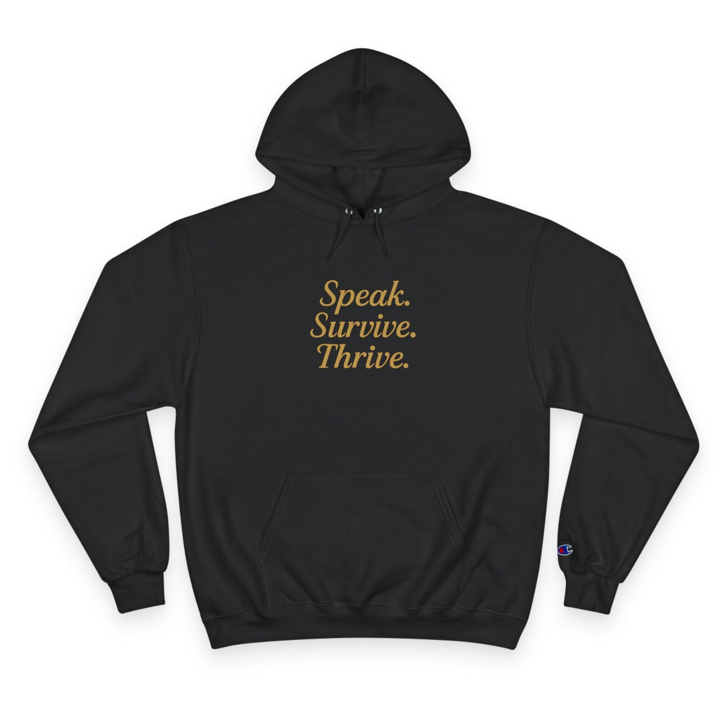 DV Survivor - KATT Design, LLC - Champion Hoodie