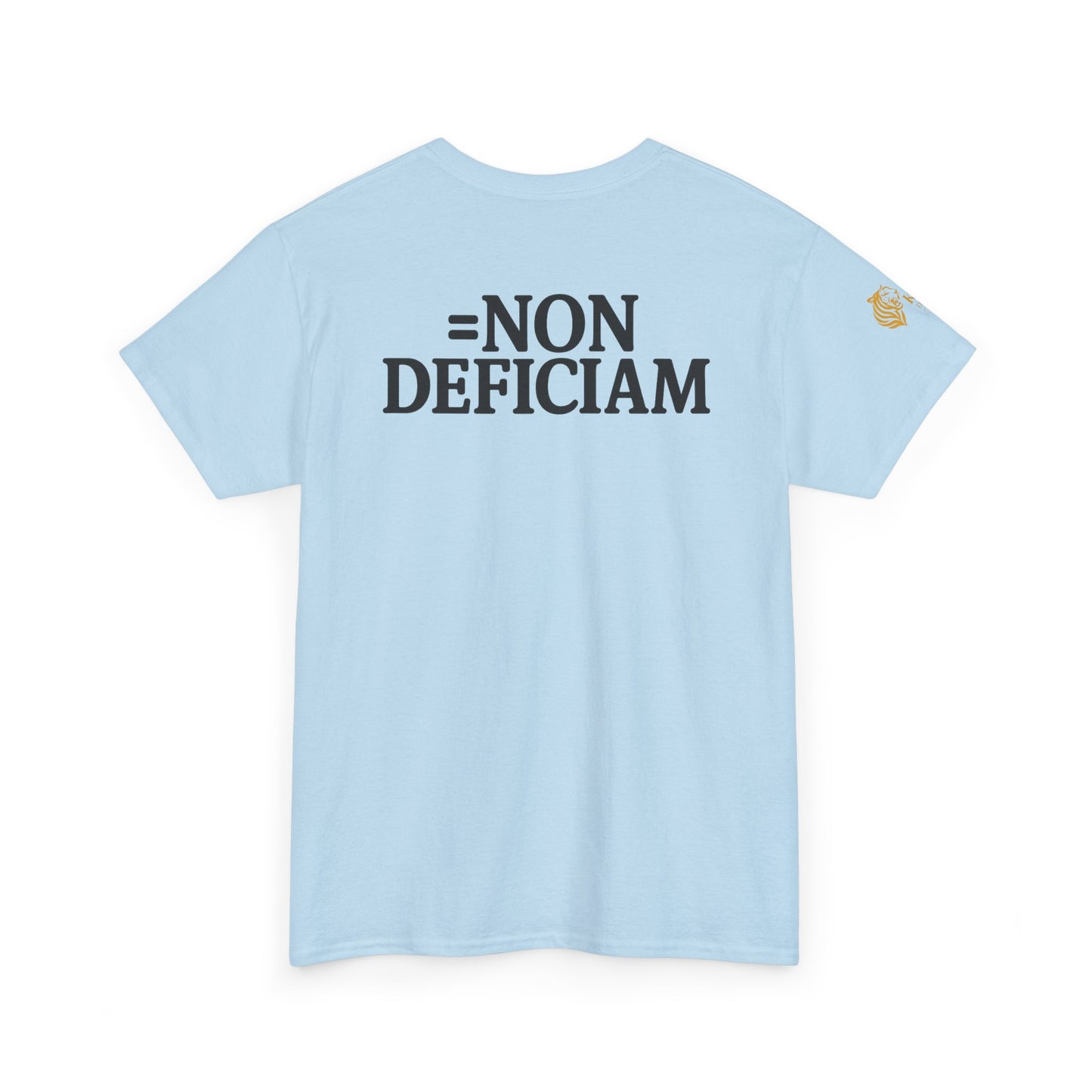 Cold Wallet - Bitcoin - Non Deficiam; "I Will Not Fail" - Unisex Heavy Cotton Tee