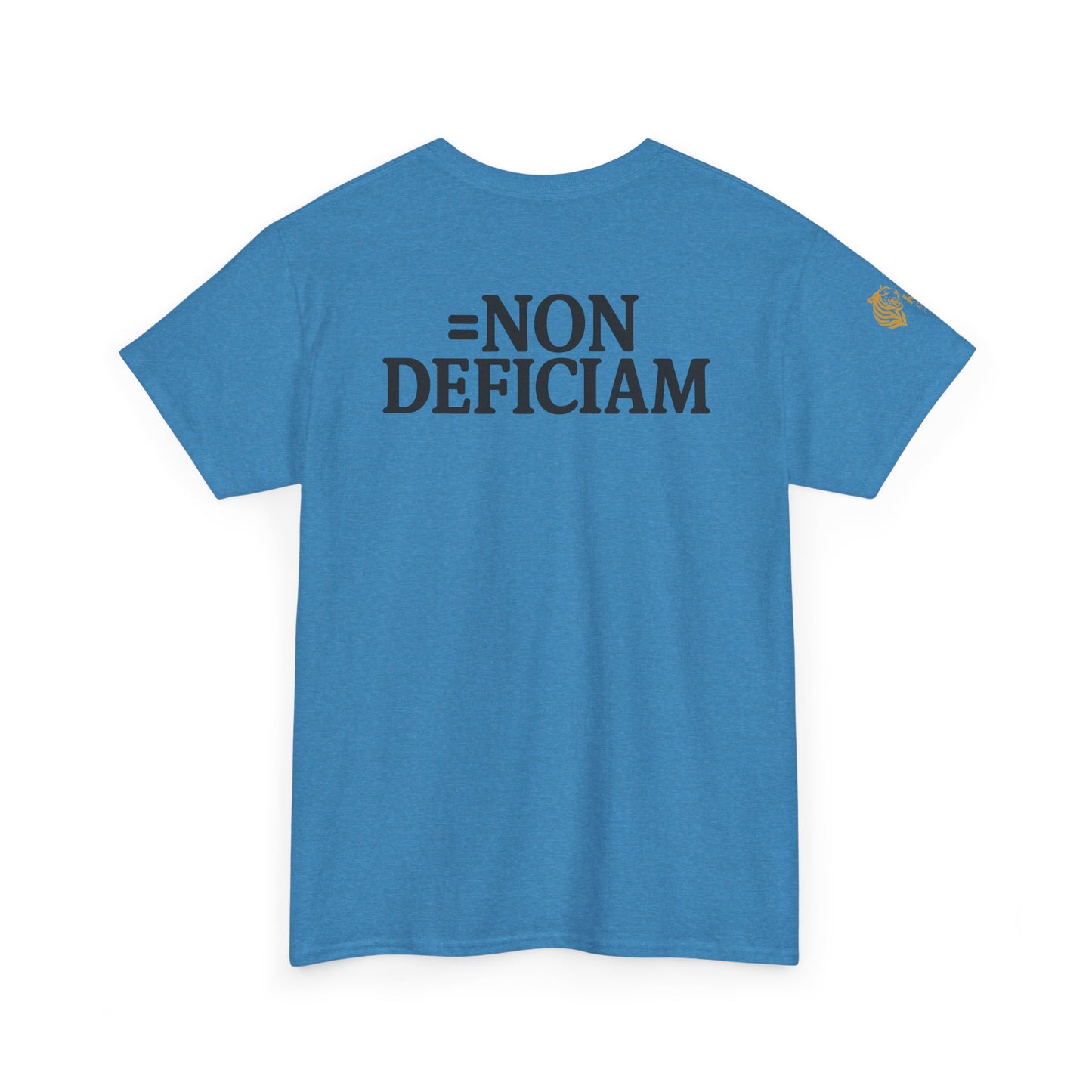 Cold Wallet - Bitcoin - Non Deficiam; "I Will Not Fail" - Unisex Heavy Cotton Tee