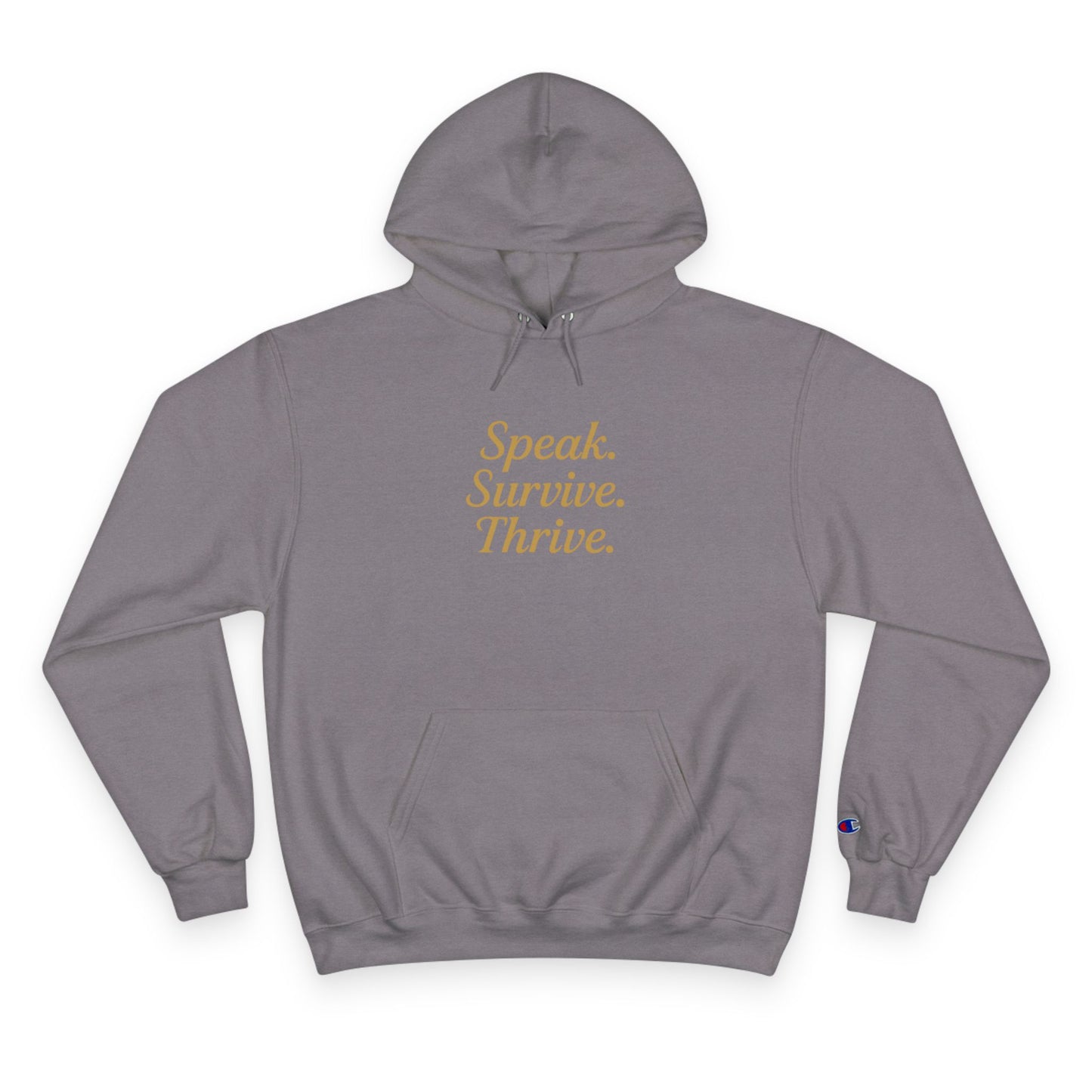 DV Survivor - KATT Design, LLC - Champion Hoodie