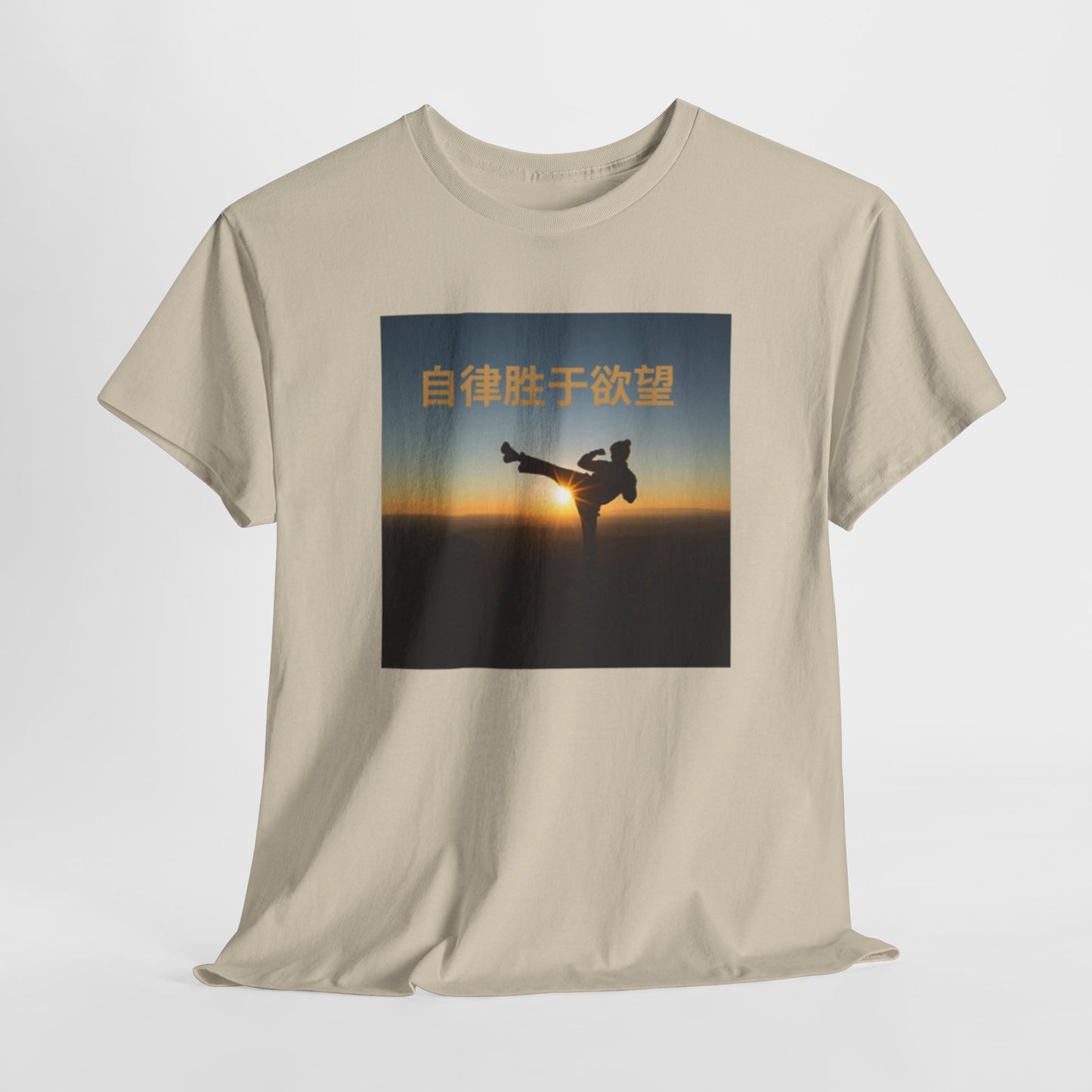 "Discipline Triumphs Over Desire" - Chinese Trendy Tshirt, Gildan 5000 Heavy Cotton Tee