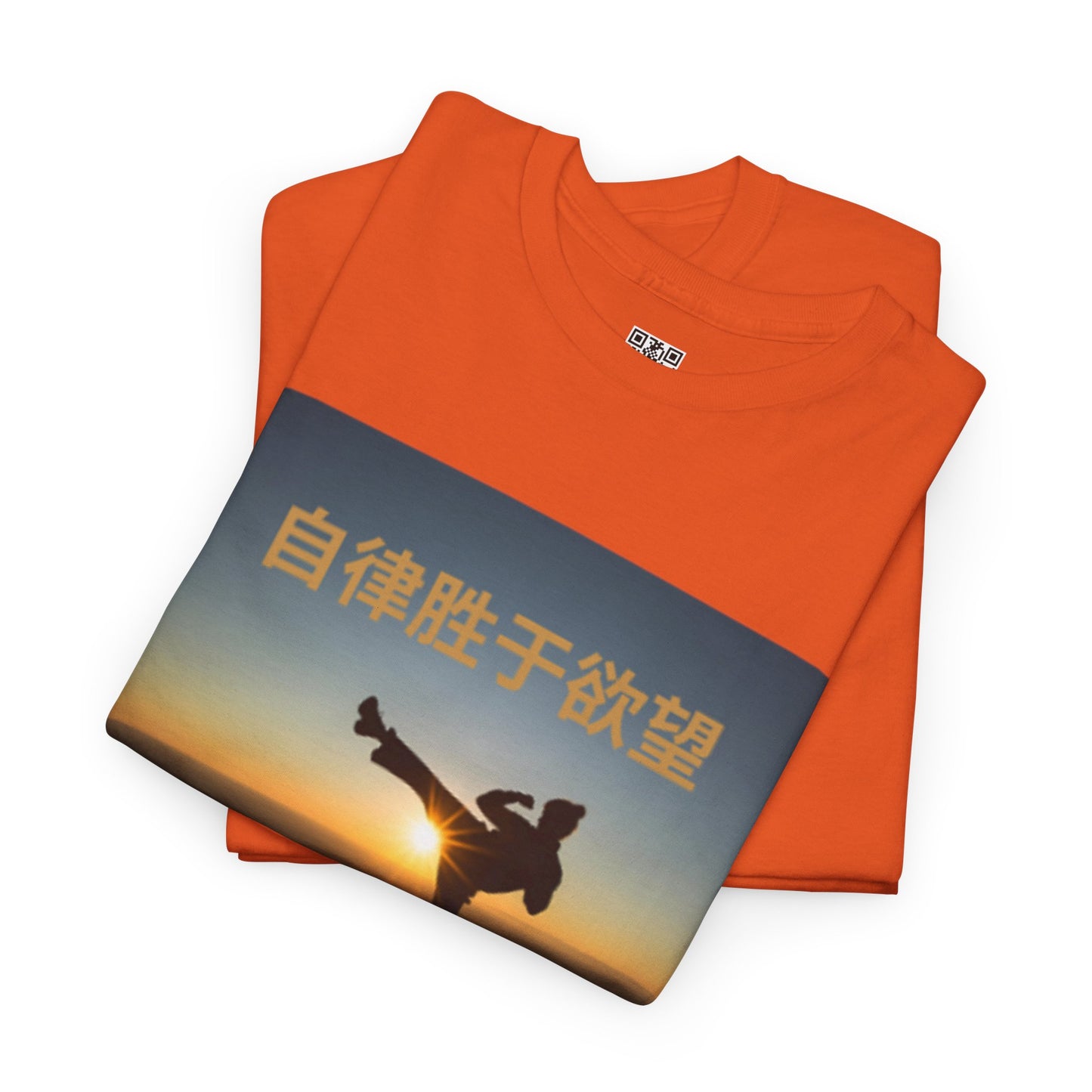 "Discipline Triumphs Over Desire" - Chinese Trendy Tshirt, Gildan 5000 Heavy Cotton Tee