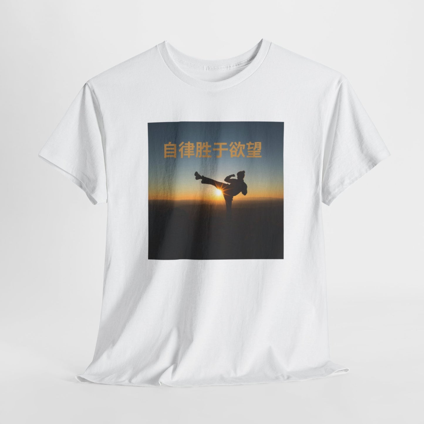 "Discipline Triumphs Over Desire" - Chinese Trendy Tshirt, Gildan 5000 Heavy Cotton Tee