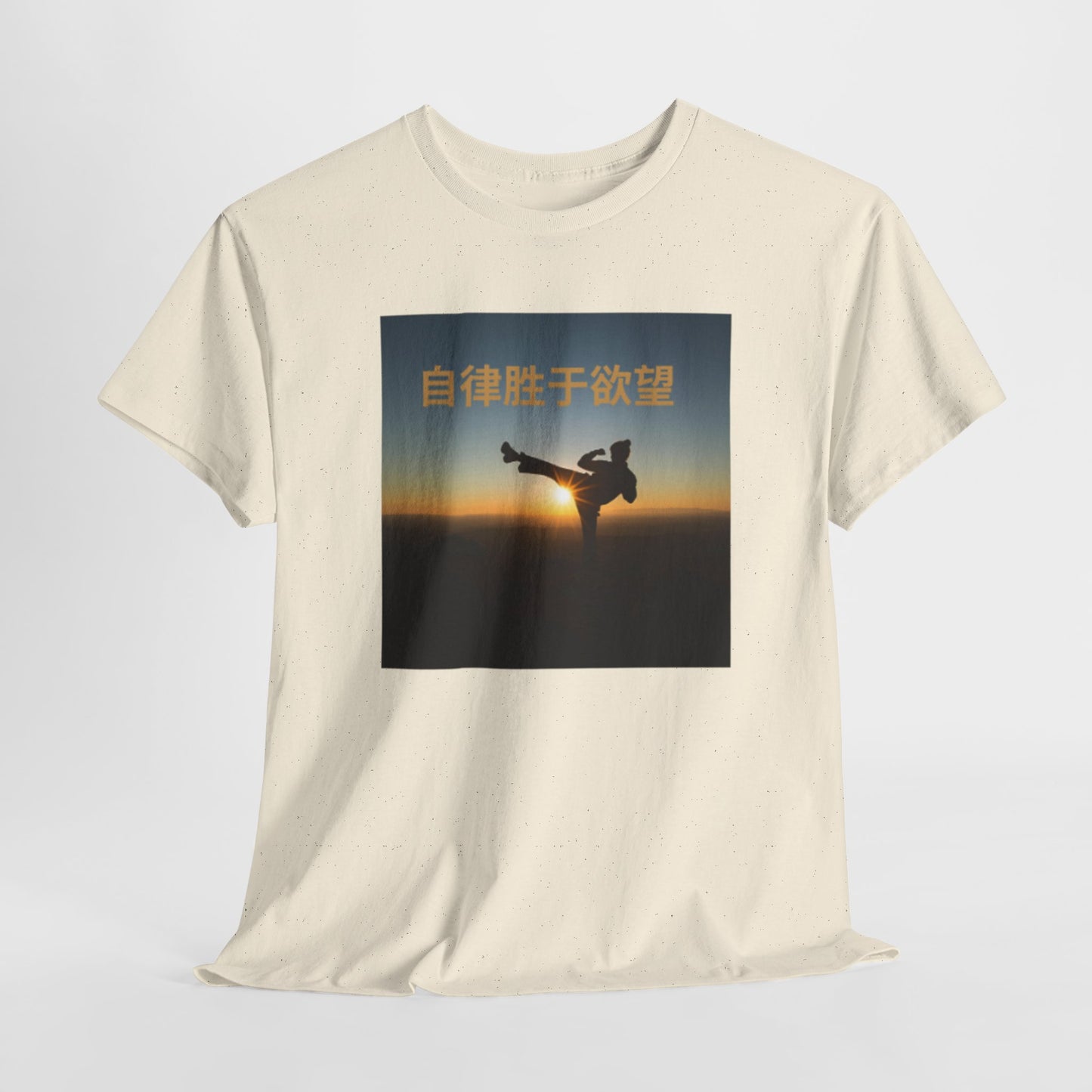 "Discipline Triumphs Over Desire" - Chinese Trendy Tshirt, Gildan 5000 Heavy Cotton Tee