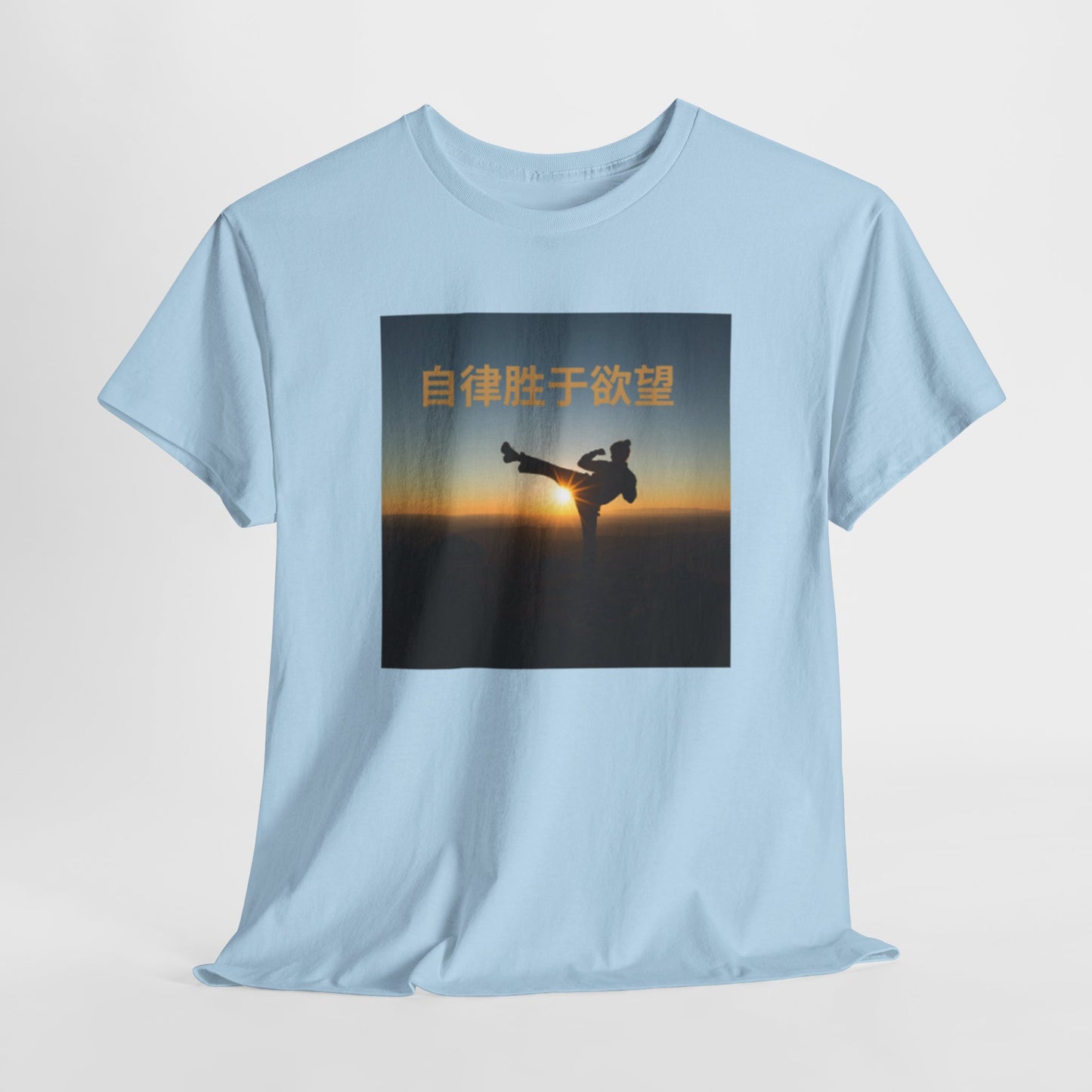 "Discipline Triumphs Over Desire" - Chinese Trendy Tshirt, Gildan 5000 Heavy Cotton Tee